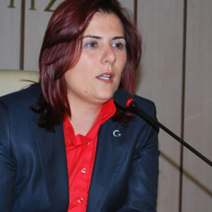 chpden ozlem cercioglu krizine karsi aydin hamlesi F1zbQSzk