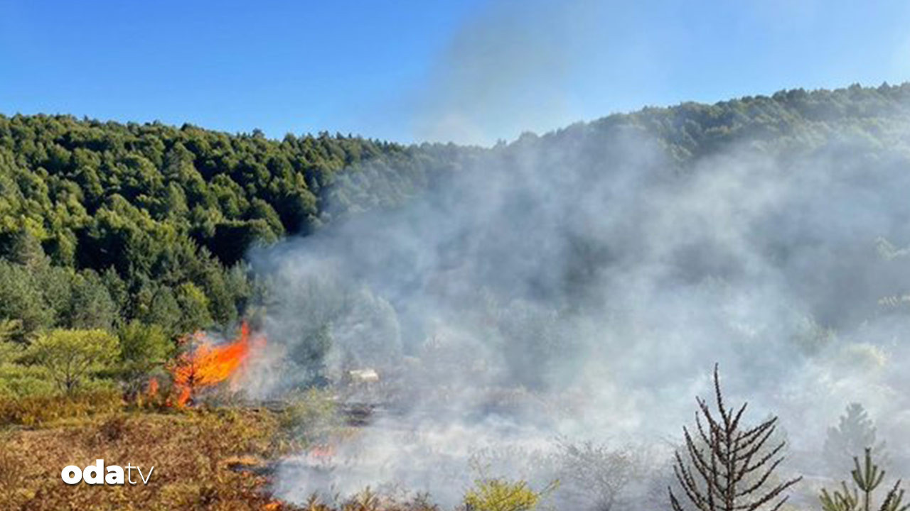 bilecikte orman yangini pHpc6REC