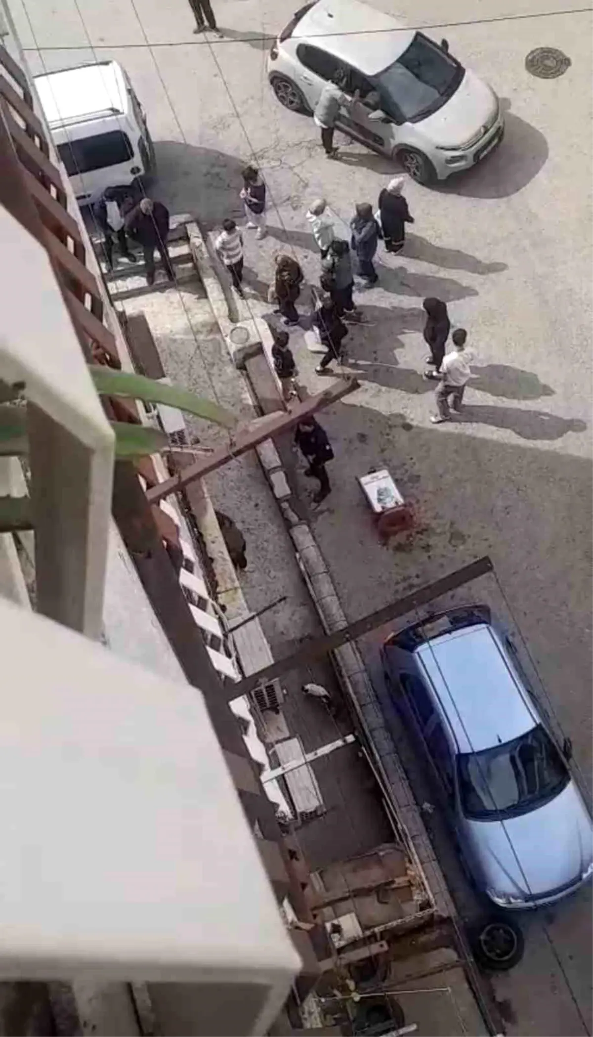 bursada petshopta taciz iddiasi LFhQyD25