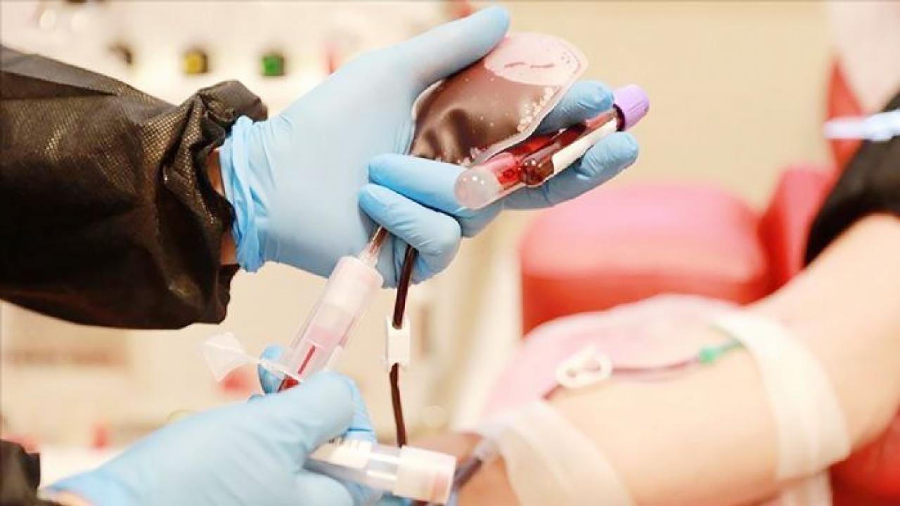 bir bagis bir hayat kok hucre bagisiyla hayat yeniden basliyor CcWu5rv7.jpg