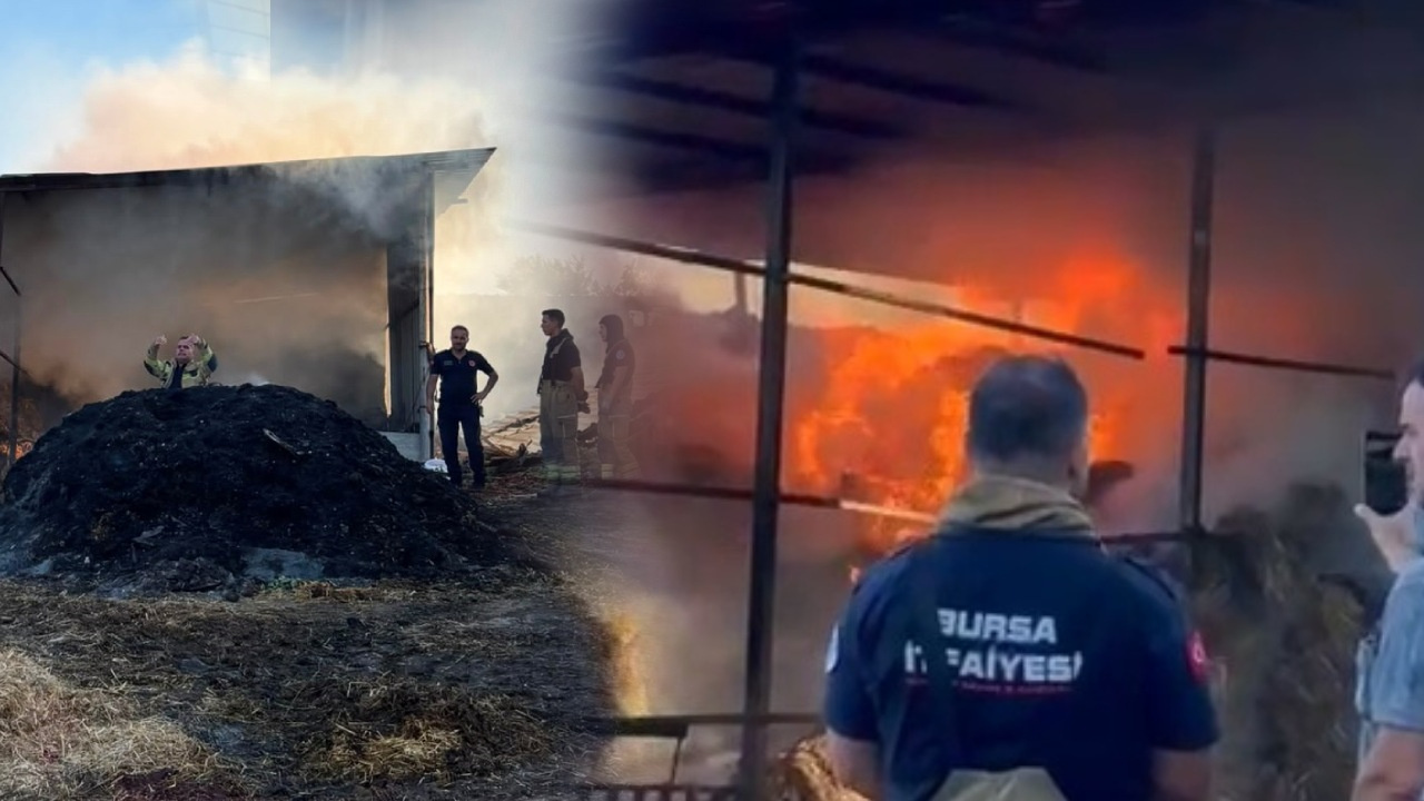 Bursa’da korkutan çiftlik yangını! 4 büyükbaş hayvan öldü, binlerce saman kül oldu