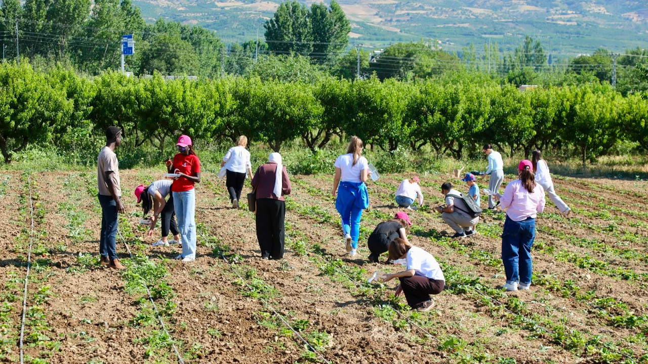 TOGÜ’den dünya gençlerine anadolu kapısı: 15 ülkeden öğrenci Tokat’ta buluştu Haber gorseli