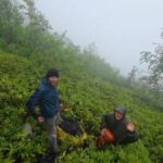 Rizede doga yuruyusunde kaybolan 3 rus turist kurtarildi eE8WjLXs